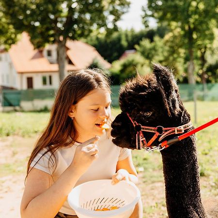 Gospodarstwo Agroturystyczne Z Basenem & Spa I Alpakami Ełk Exterior foto